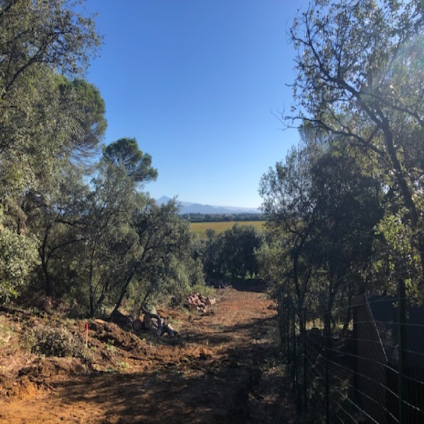 Offres de vente Terrain Piolenc 84420
