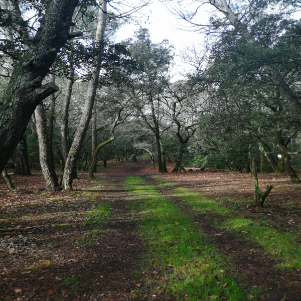 Offres de vente Terrain Bagnols-sur-Cèze 30200